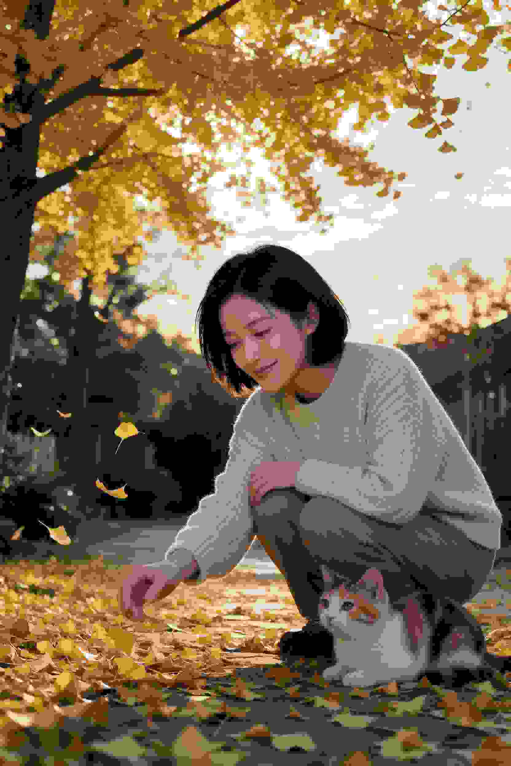 影片